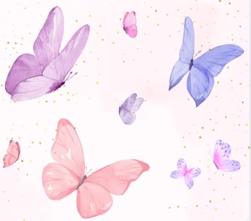website Butterfly